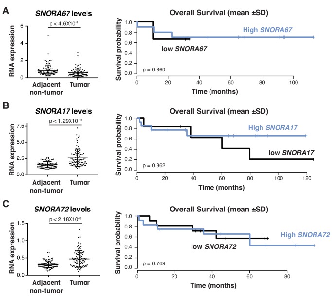 Figure 1—figure supplement 3.