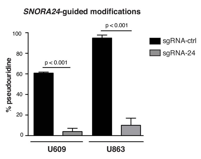 Figure 3—figure supplement 1.