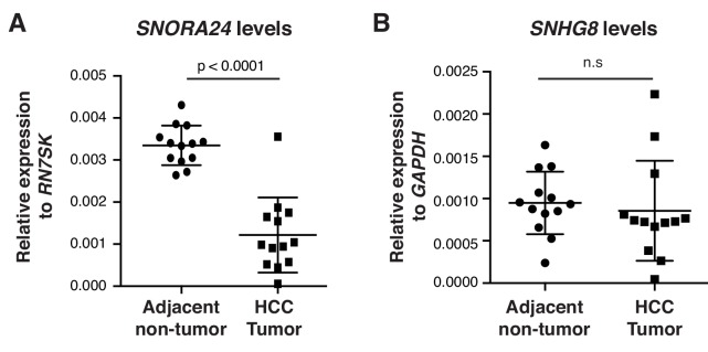 Figure 1—figure supplement 4.