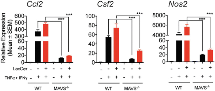 Figure 2