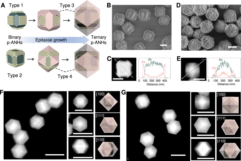 Fig. 3