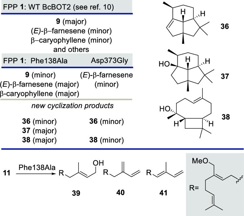 Scheme 5