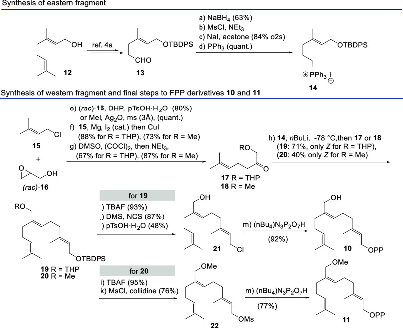 Scheme 2