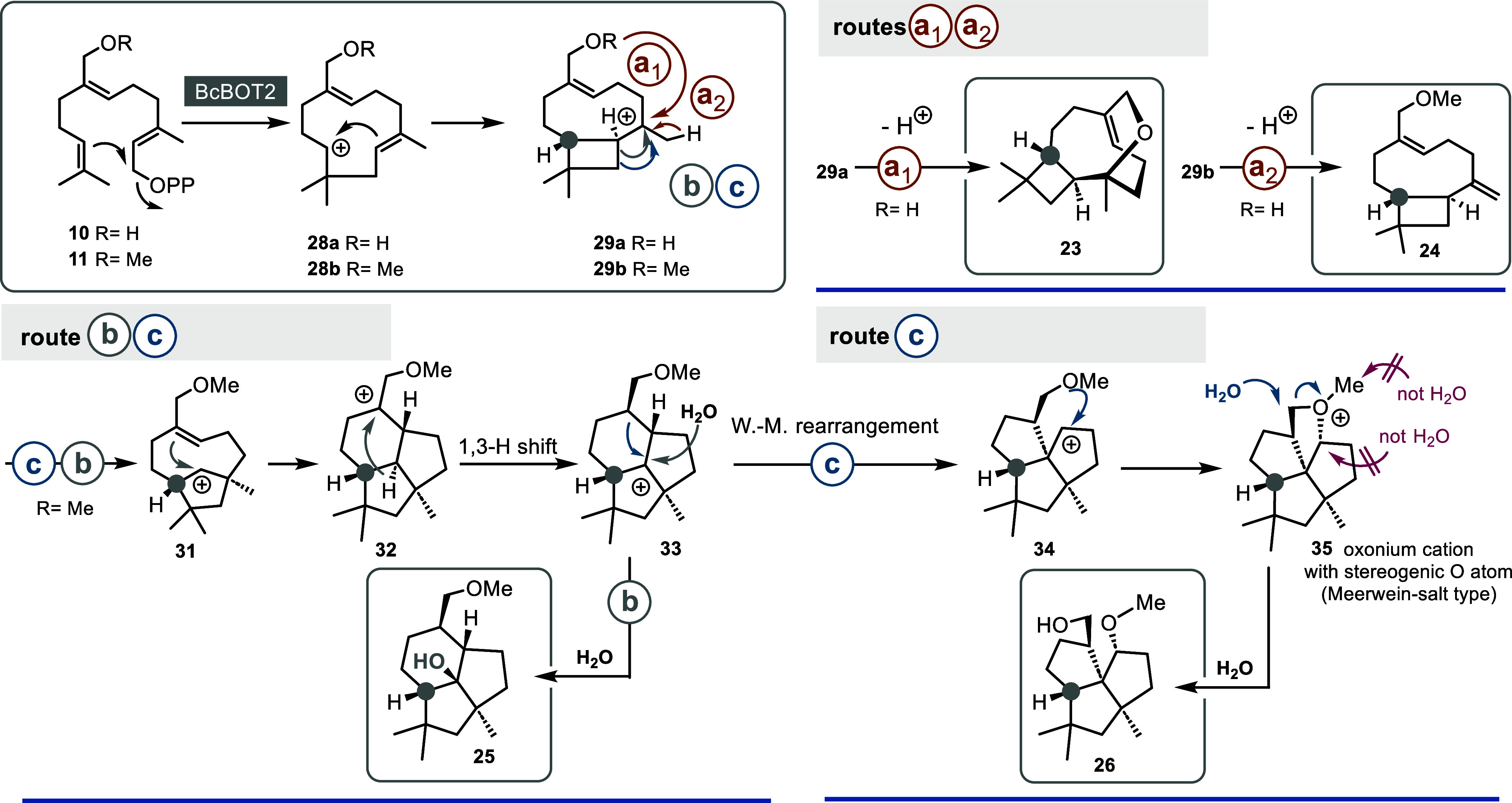 Scheme 4