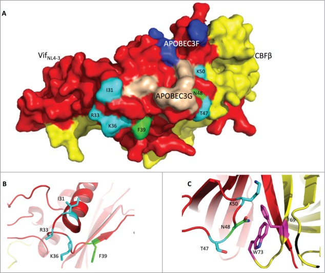 Figure 6.