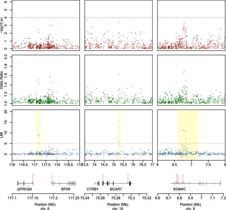 A multilayered post-GWAS assessment on genetic susceptibility to ...