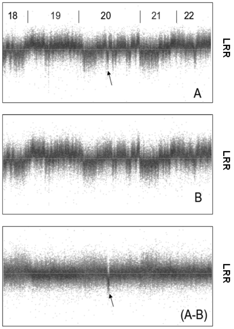 Figure 7