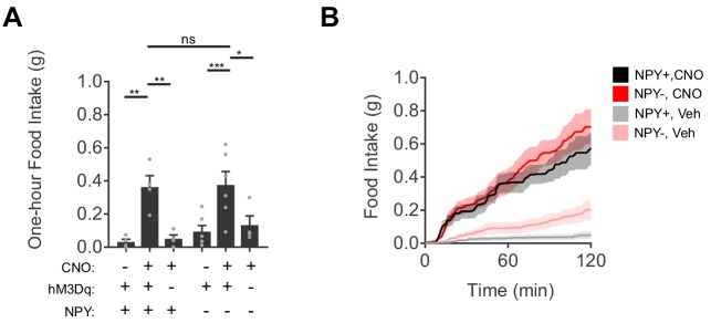 Figure 4—figure supplement 1.