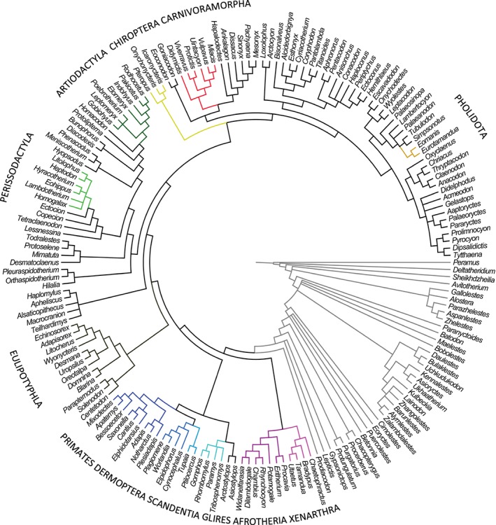 BRV-12242-FIG-0004-c