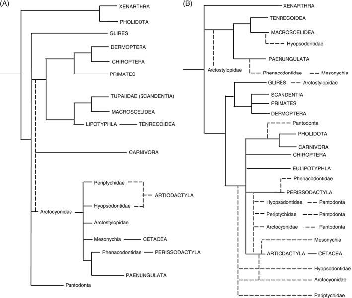 BRV-12242-FIG-0001-b