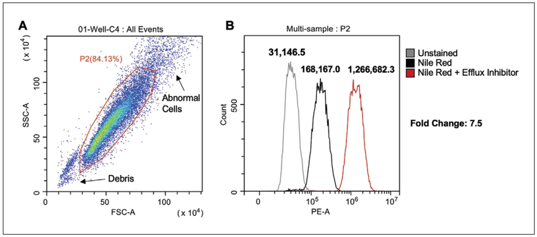 Figure 5