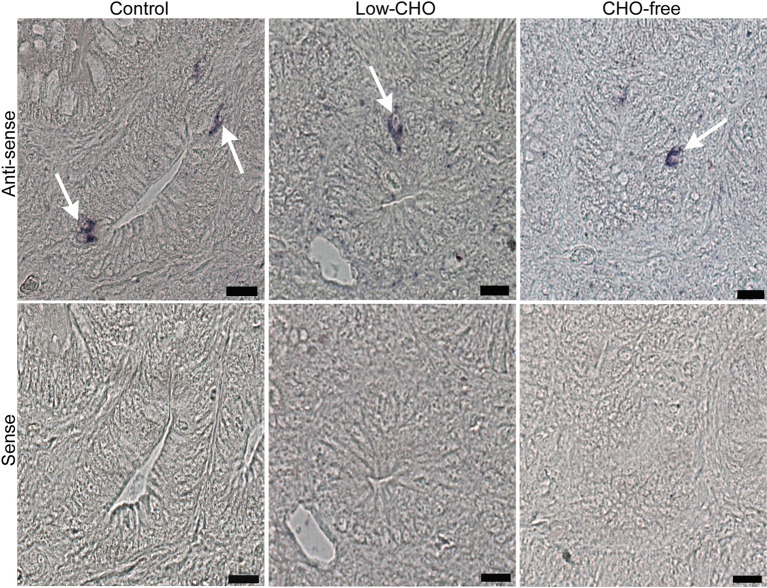 Fig. 3.