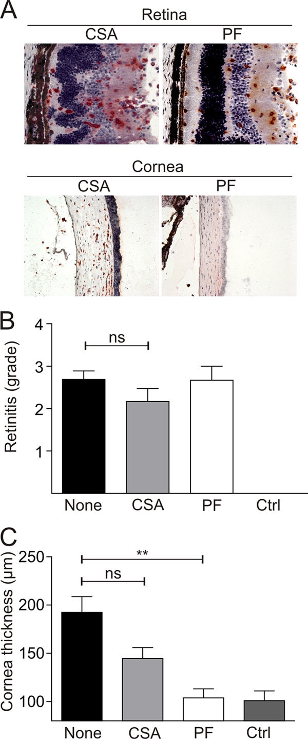 FIG. 7.