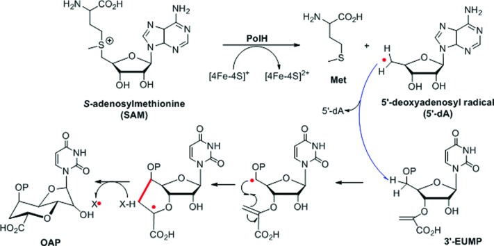 Scheme 2