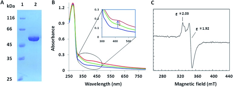 Fig. 2