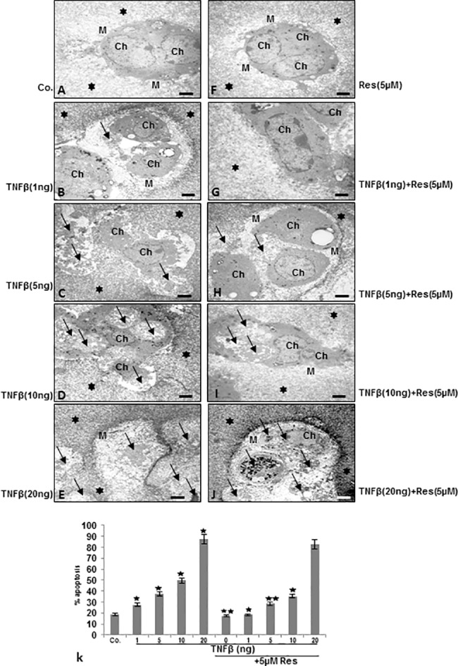 Fig 5