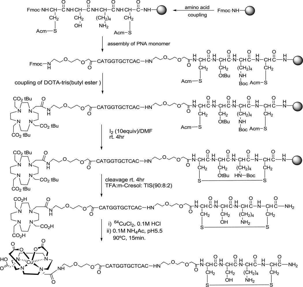 Scheme 1