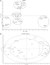 Figure 6