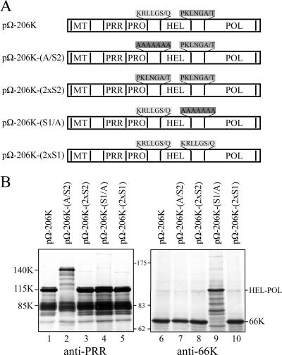 FIG. 8.