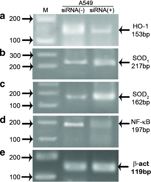 Fig. 6