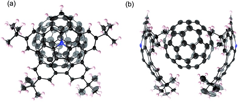 Fig. 10