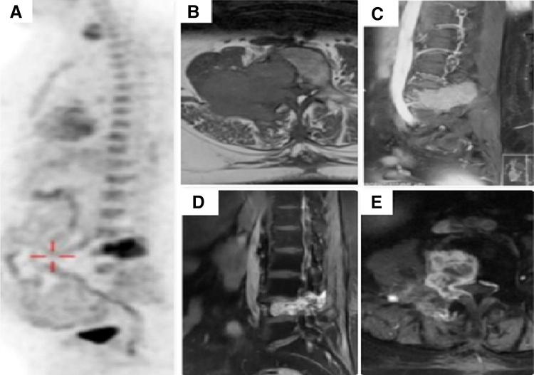 Fig. 2