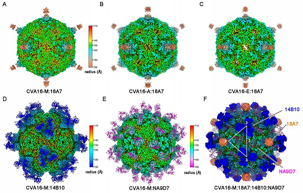 Figure 2.