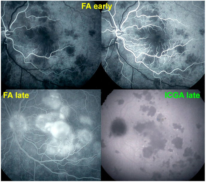 Figure 10