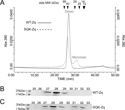 FIGURE 10.