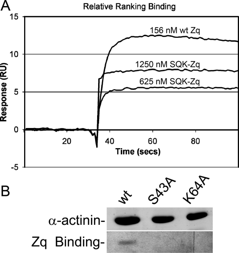 FIGURE 9.