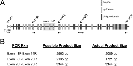 FIGURE 1.