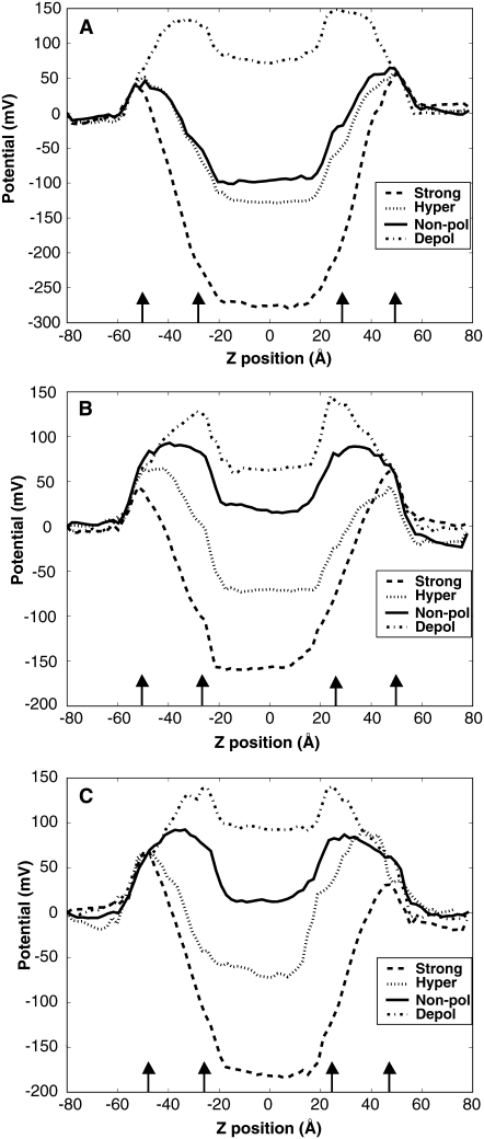 FIGURE 2