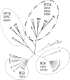 Fig 3