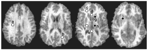 Fig. 8