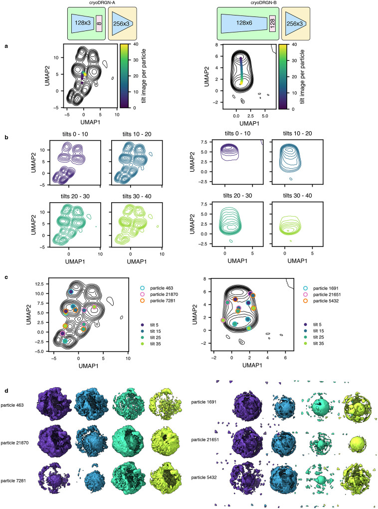 Extended Data Figure 9: