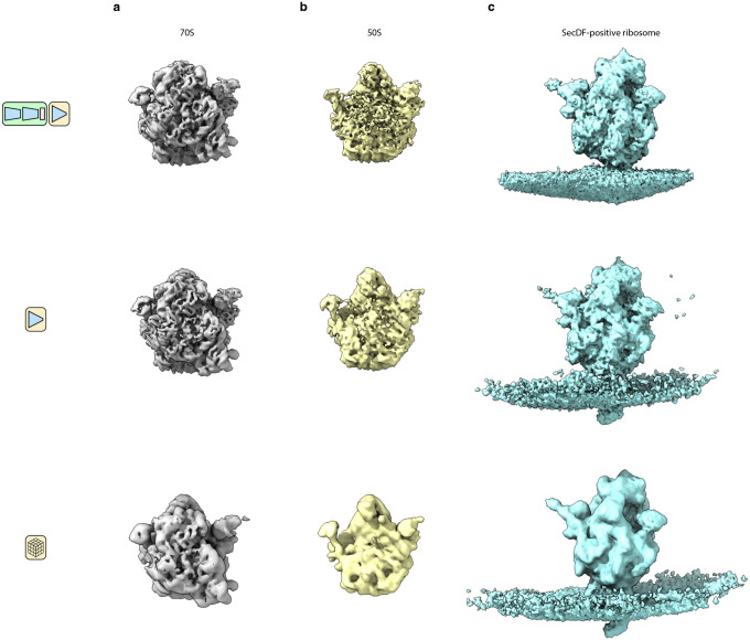 Extended Data Figure 6: