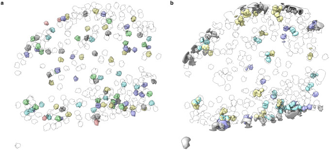 Figure 6: