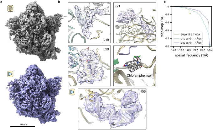 Figure 3: