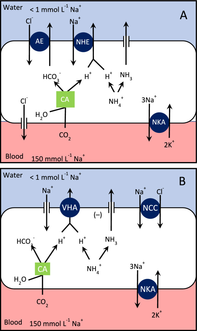 Fig. 2