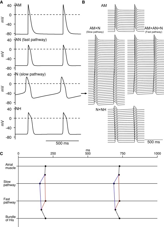 Figure 9