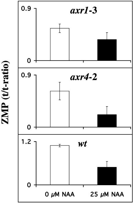 Fig. 5.