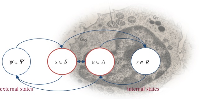 Figure 1.