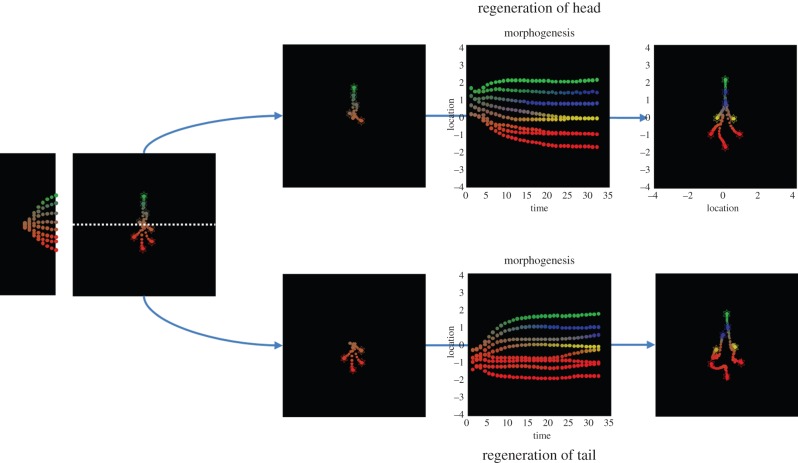 Figure 4.