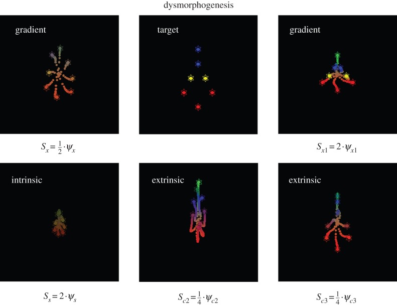 Figure 5.