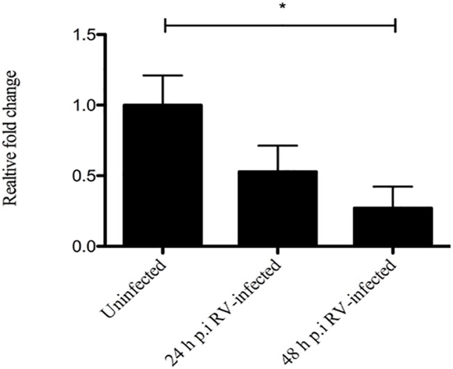 Fig 6