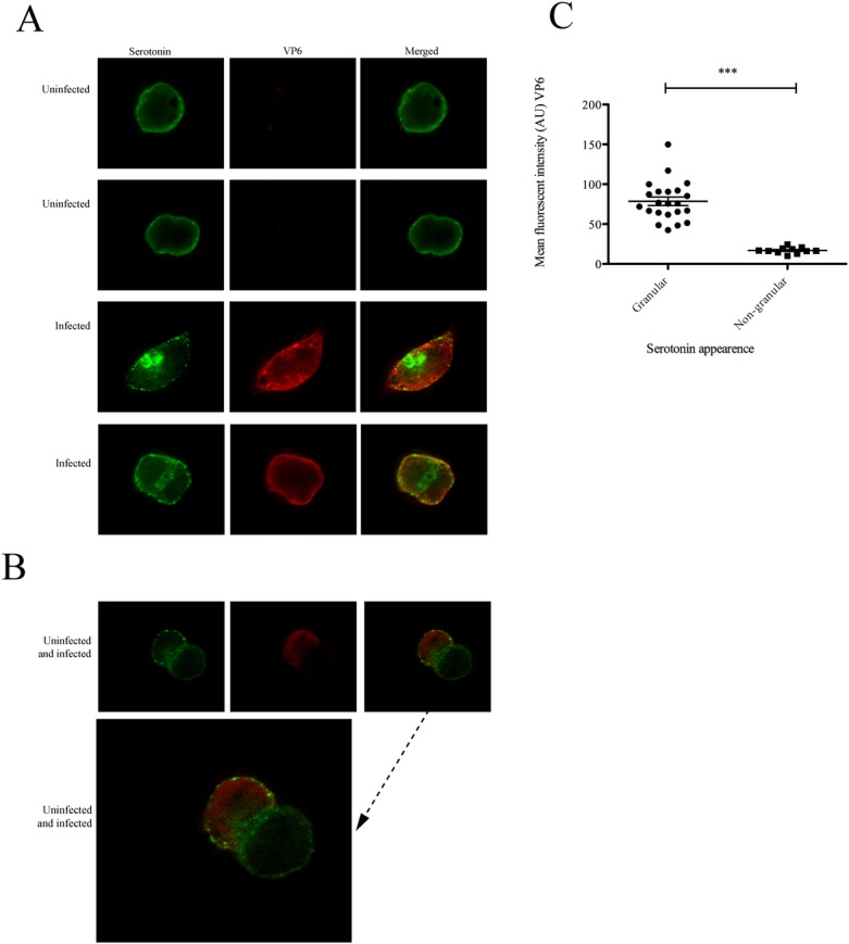 Fig 4