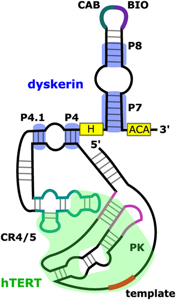 FIGURE 3.