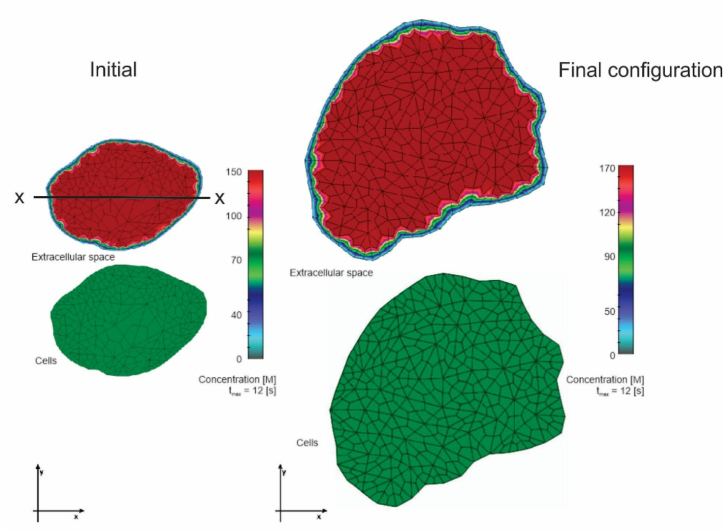 Fig. 13