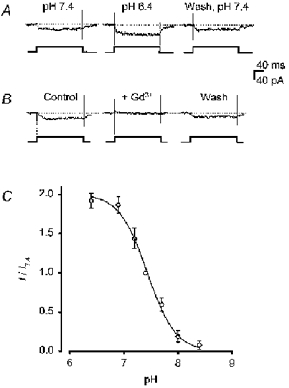 Figure 8