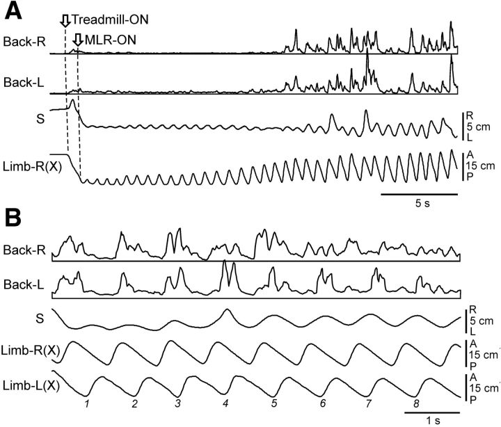 Figure 10.